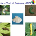 Polvo del lufenuron del insecticida del insecticida del acaricida del efecto alto del mejor precio